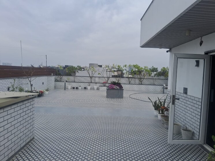 Terrace, dlf phase i 4 Bedroom 316 Sq.Yd. Builder Floor In Dlf Phase I Gurgaon 8862549