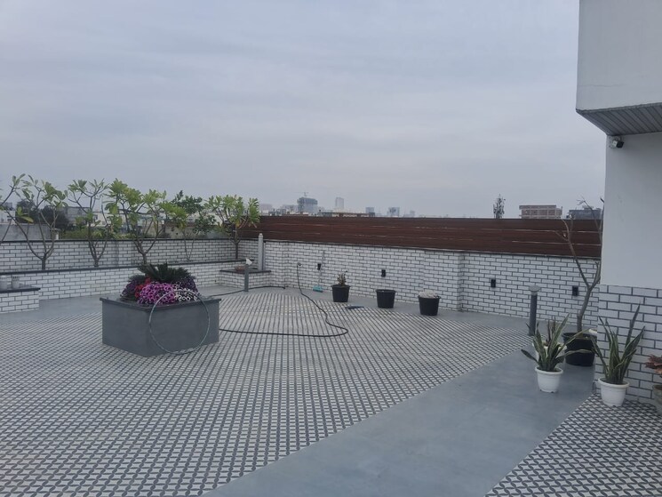 Terrace, dlf phase i 4 Bedroom 316 Sq.Yd. Builder Floor In Dlf Phase I Gurgaon 8862549