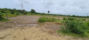  Plot For Sale in Palghar
