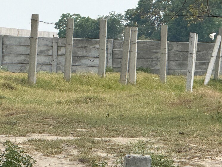 undefined, yamuna expressway  262 Sq.Yd. Plot In Yamuna Expressway Greater Noida 8863158