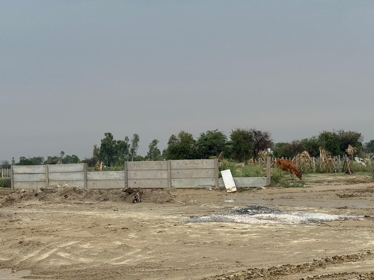 undefined, yamuna expressway  302 Sq.Yd. Plot In Yamuna Expressway Greater Noida 8863270