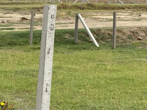 Plot Area in  Plot at Yamuna Expressway – for Sale