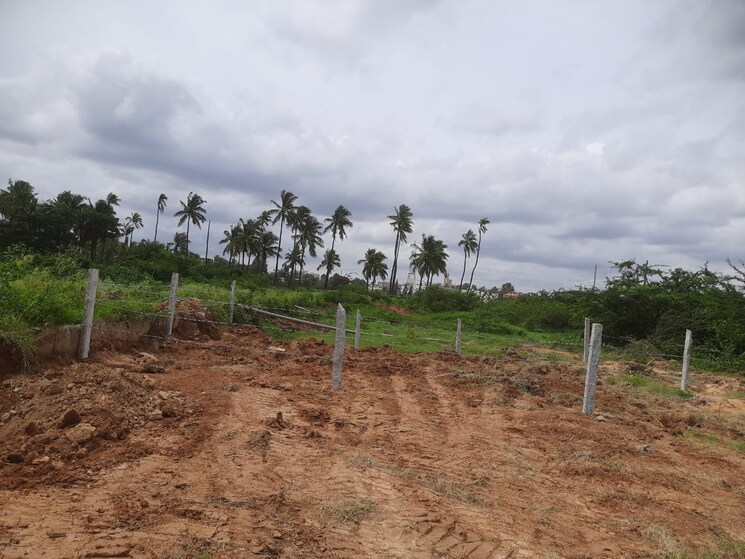 undefined, jakkuru  2400 Sq.Ft. Plot In Jakkuru Bangalore 8863504