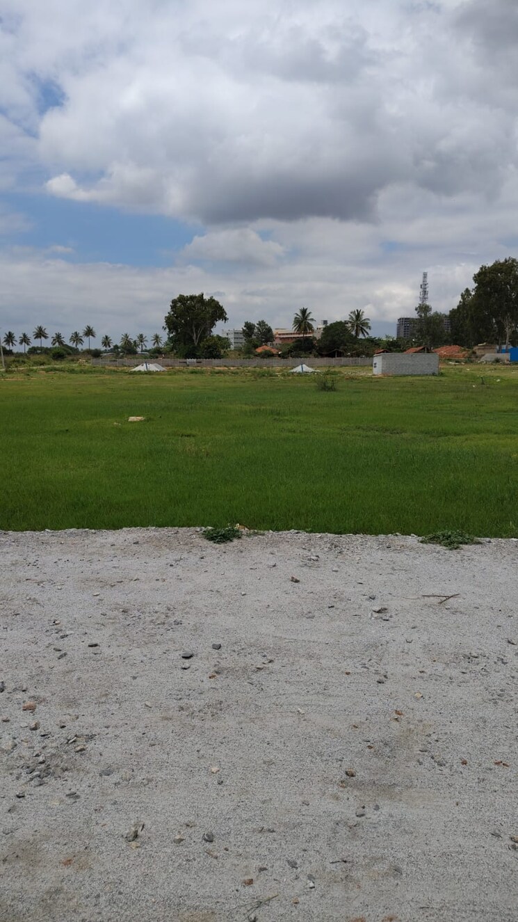 undefined, ab bypass road  425 Sq.Ft. Plot In Ab Bypass Road Indore 8863777