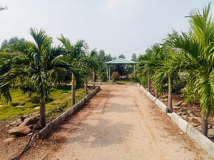  Plot For Sale in Shankarpalli