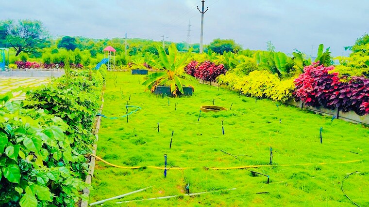 Garden, shankarpalli  363 Sq.Yd. Plot In Shankarpalli Hyderabad 8863759