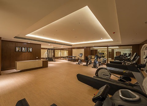 4 BHK Apartment For Rent in DLF Regal Gardens