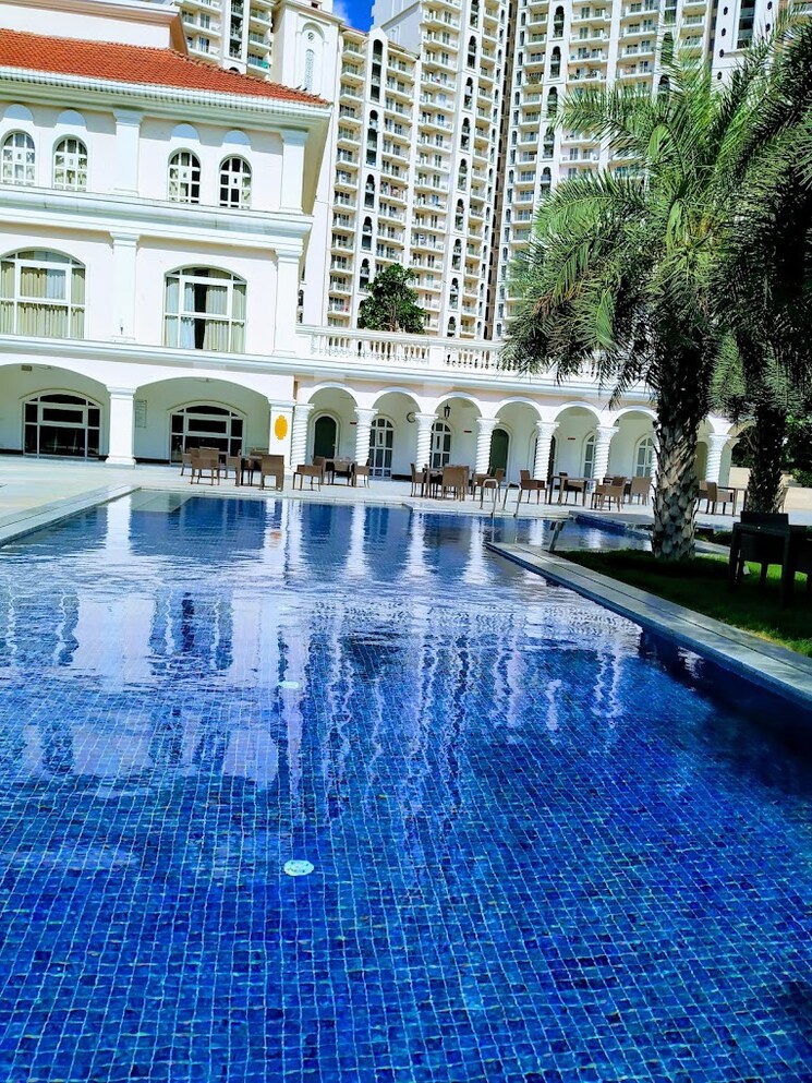 Swimming Pool, dlf-regal-gardens 4 Bedroom 2215 Sq.Ft. Apartment In Sector 90 Gurgaon 8864169