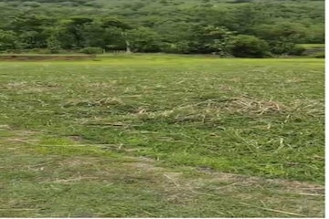 Plot Area in  Plot at Vijayanagar 4th Stage – for Sale