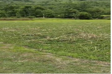 Plot Area in  Plot at Vijayanagar 4th Stage – for Sale