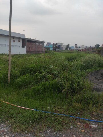 Plot Area in  Land at Singhniwala – for Sale
