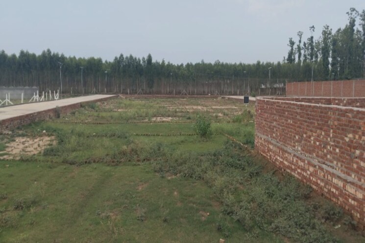 undefined, azad nagar  57 Sq.Yd. Plot In Azad Nagar Hisar 8864668