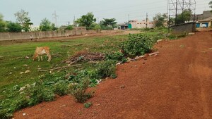 Plot Area in  Plot at Saddu – for Sale