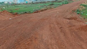 Plot Area in  Plot at Saddu – for Sale