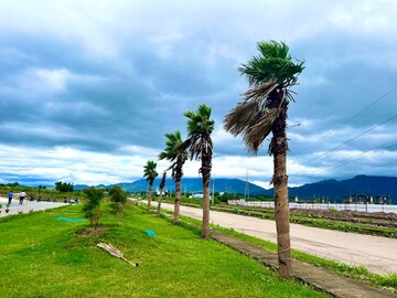  Plot For Sale in Altus The Junction, Saini Majra