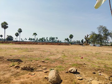 Plot Area in  Plot at Kongara Kalan – for Sale