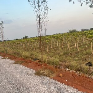  Plot – Exterior View View at Sejbahar - for Sale