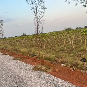  Plot – Exterior View View at Sejbahar - for Sale