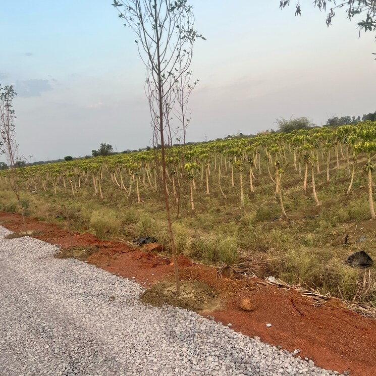 Exterior View, sejbahar  12000 Sq.Ft. Plot In Sejbahar Raipur 8865158