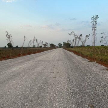 Plot Area in  Plot at Sejbahar – for Sale