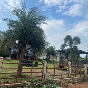  Plot – Exterior View View at Sejbahar - for Sale