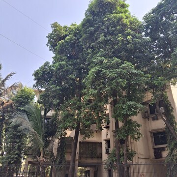 1 BHK Apartment For Rent in Mahape