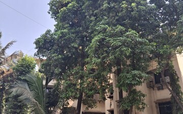 1 BHK Apartment For Rent in Mahape