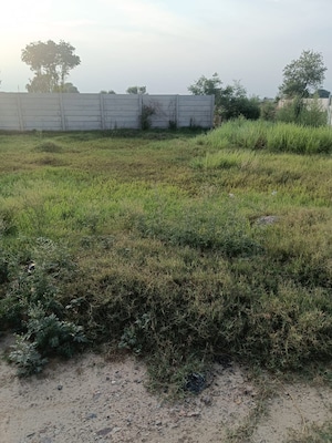Plot Area in  Plot at Vijay Nagar – for Sale