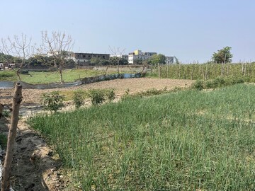 Plot Area in  Plot at Babupur – for Sale