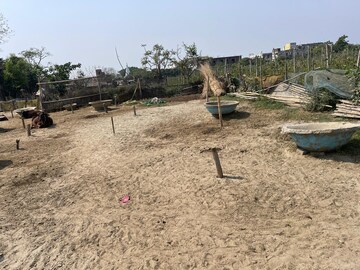 Plot Area in  Plot at Babupur – for Sale