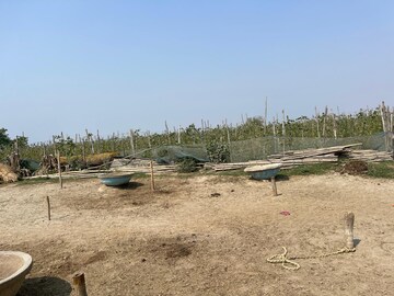 Plot Area in  Plot at Babupur – for Sale