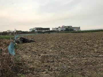  Plot For Sale in Babupur