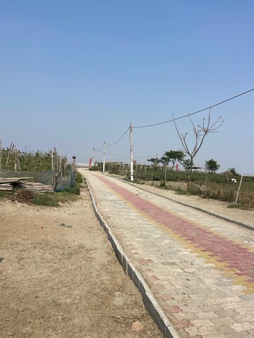 Plot Area in  Plot at Babupur – for Sale