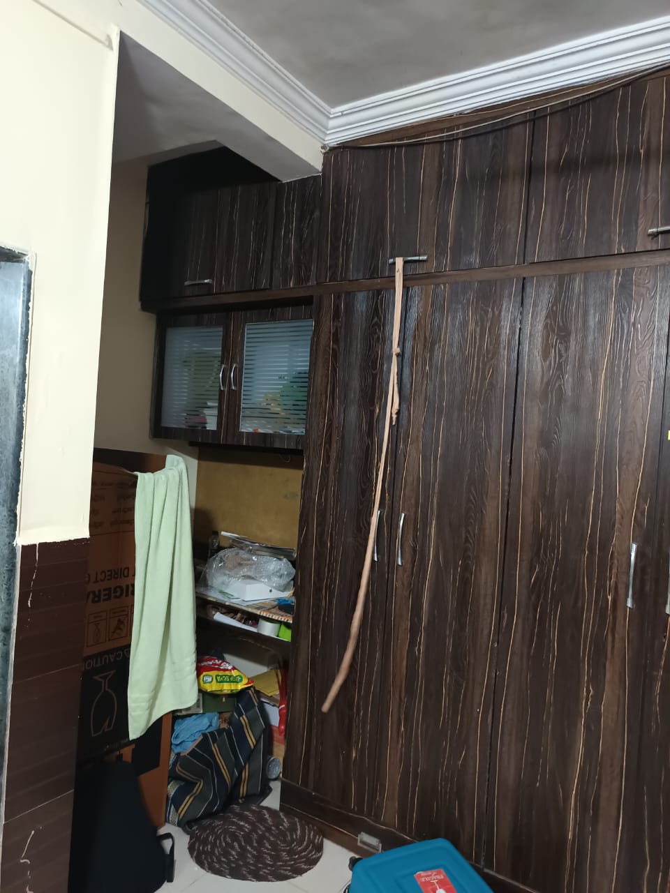 1 BHK Apartment For Rent in Audumber CHS
