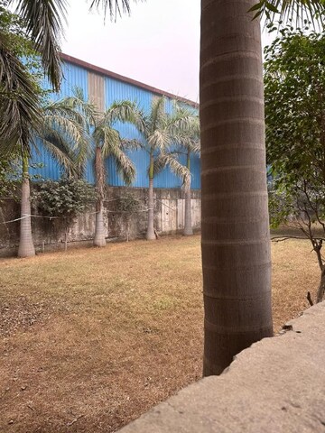 Plot Area in  Land at Tilapta – for Rent