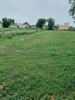1350 Sq.Yd. Land in BKR Vatika Green City