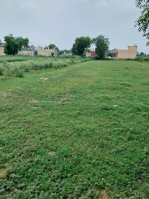  Land For Sale in BKR Vatika Green City, Jasana