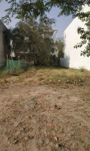 Plot Area in  Plot at DLF Atria, Dlf Phase ii – for Sale