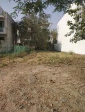 Plot Area in  Plot at DLF Atria, Dlf Phase ii – for Sale