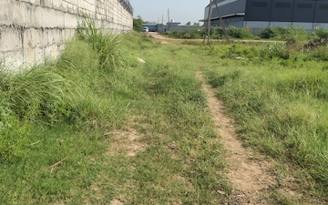 Industrial Plot For Sale in Pirthla