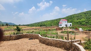  Plot For Sale in Jewar