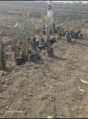  Plot – Map Location View at Jewar - for Sale