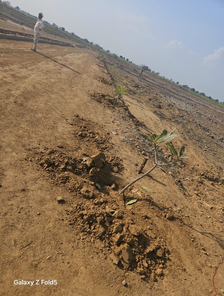 Exterior View, jewar  115 Sq.Yd. Plot In Jewar Greater Noida 8865865