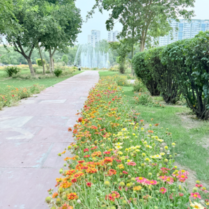   Plot at RWA Apartments Sector 108, Sector 108 – for Sale