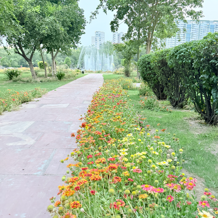 Other, rwa-apartments-sector-108  200 Sq.Mt. Plot In Sector 108 Noida 8865919