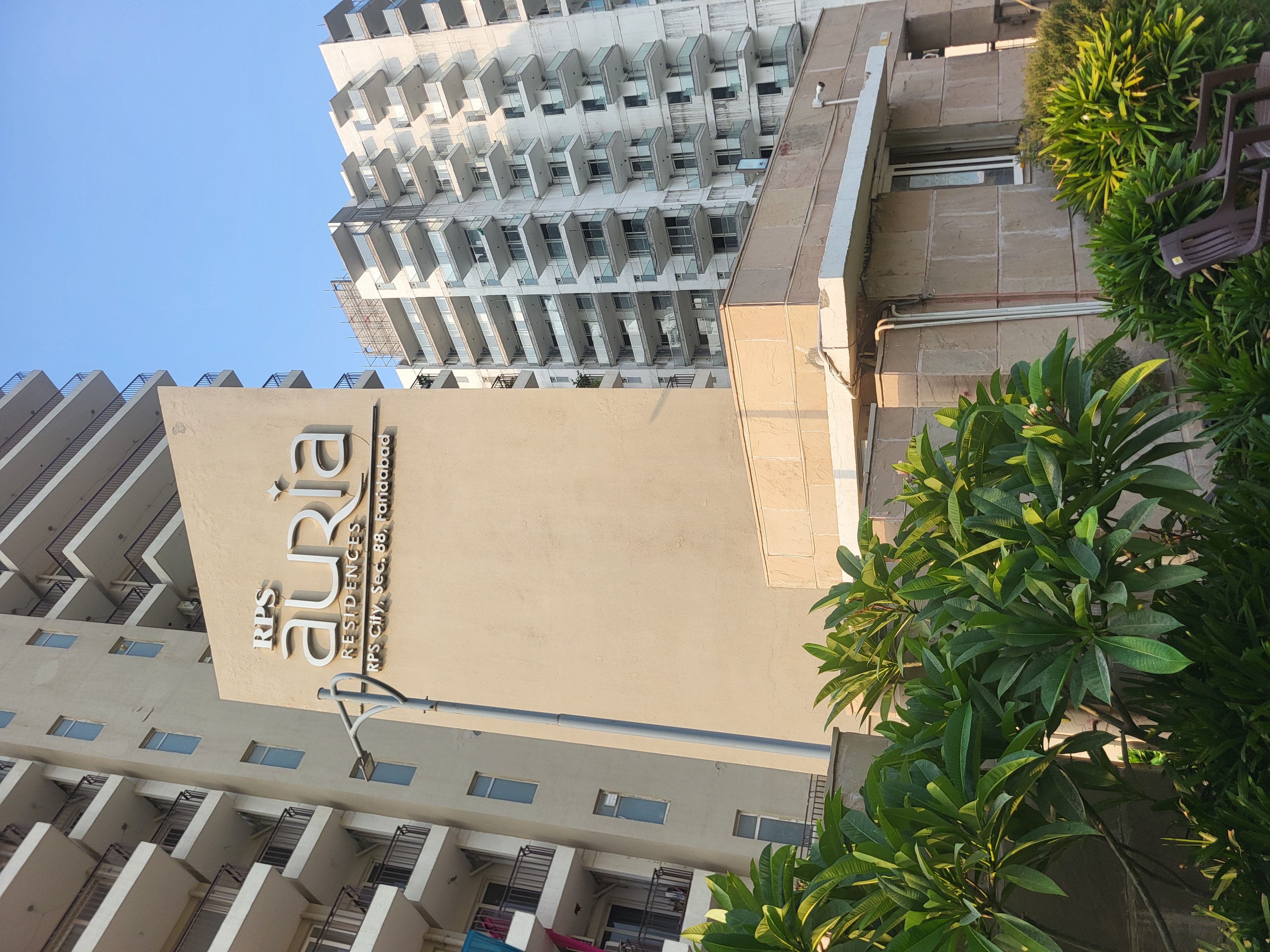 3 BHK 1565 Sq.Ft. Apartment in RPS Auria