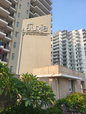 3 BHK Apartment For Sale in RPS Auria, Sector 88