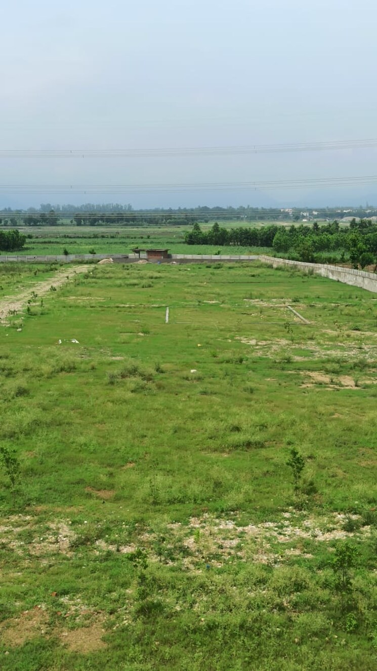 undefined, shimla bypass road  150 Sq.Yd. Plot In Shimla Bypass Road Dehradun 8866287