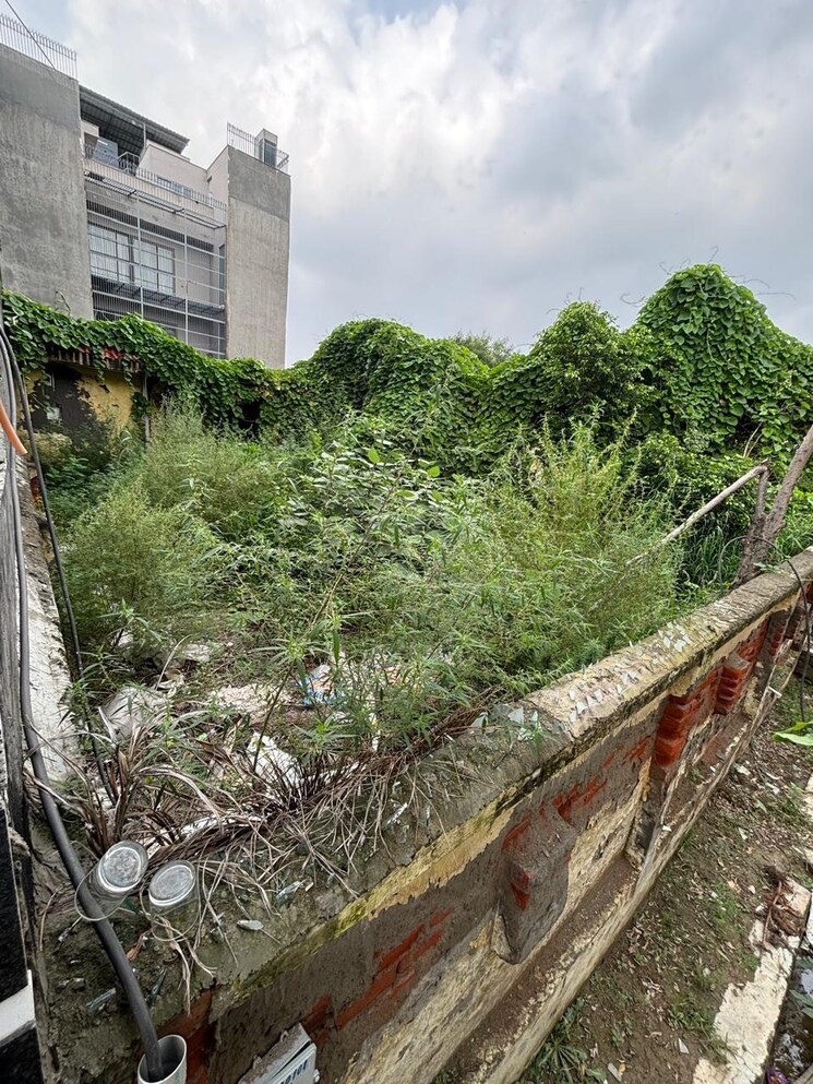 Garden, rwa-apartments-sector-51  300 Sq.Yd. Plot In Sector 51 Noida 8866314