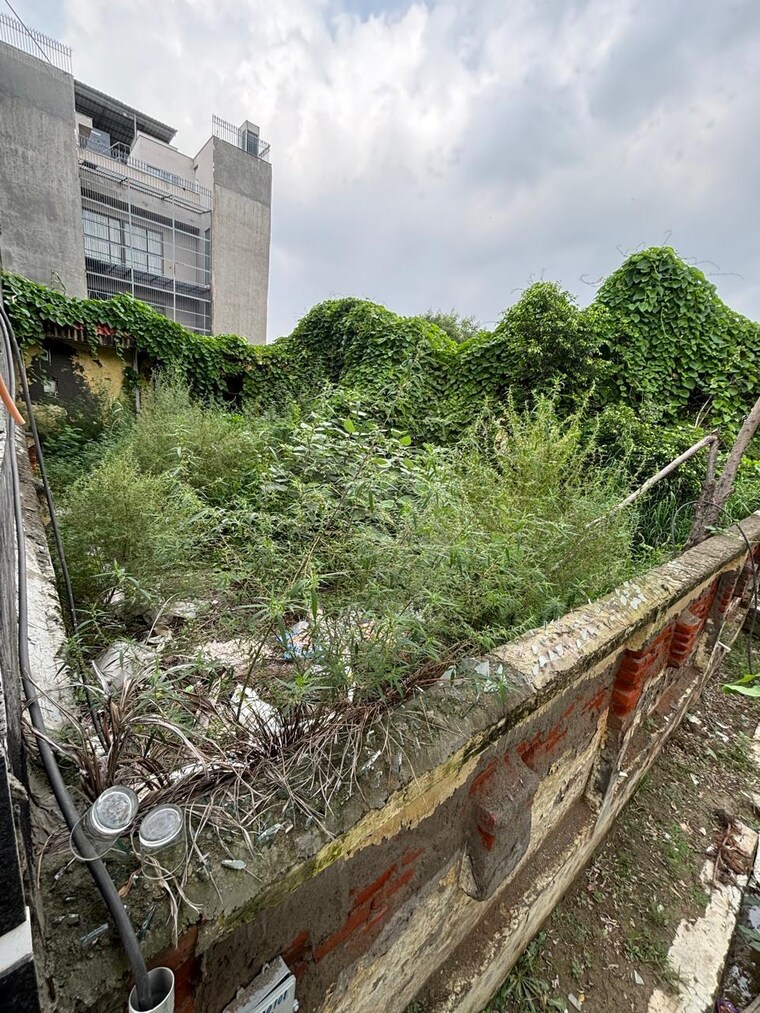 Garden, rwa-apartments-sector-51  300 Sq.Yd. Plot In Sector 51 Noida 8866314